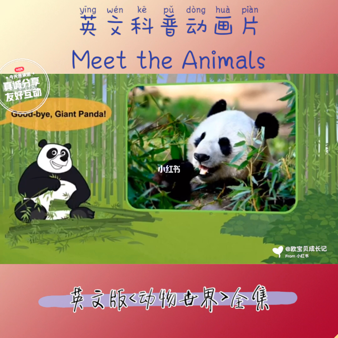 [影视] 美语版动物世界（48集）-黎明岛-互联网资源