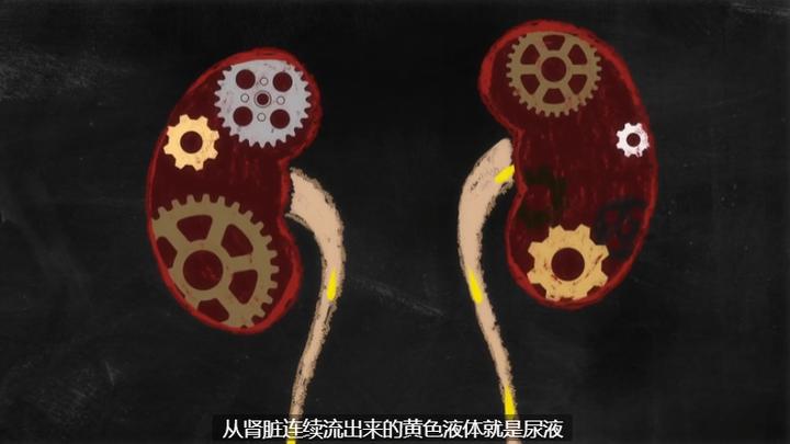 图片[17]-国庆资源荒？TED-ed系列700集英文动画短片，给孩子来一场知识风暴[24P]-黎明岛-互联网资源