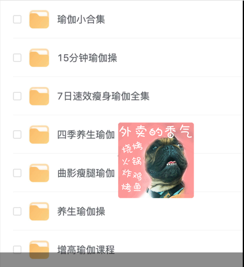 瑜伽课程合集(七大系列)-黎明岛-互联网资源