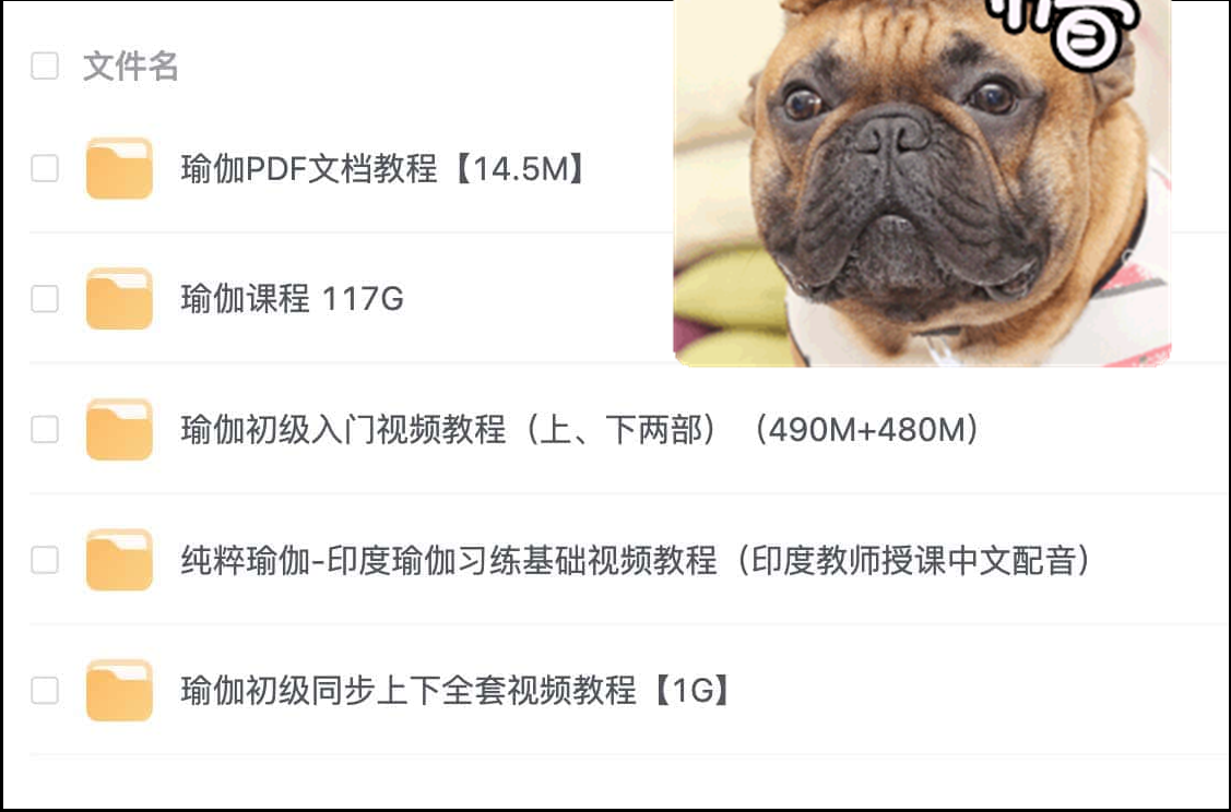 图片[2]-瑜伽课程合集(七大系列)-黎明岛-互联网资源