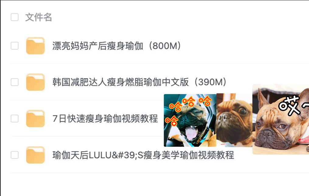 图片[3]-瑜伽课程合集(七大系列)-黎明岛-互联网资源