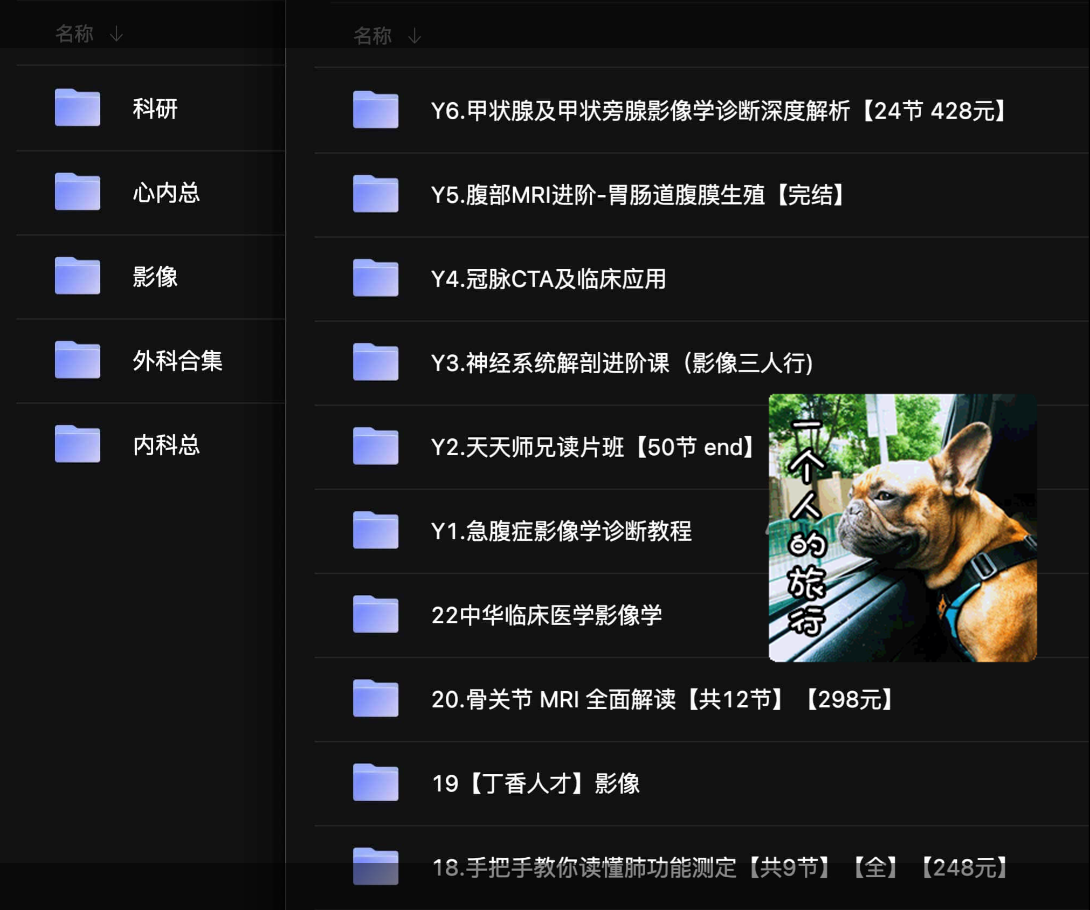 丁香园付费课程合集-黎明岛-互联网资源