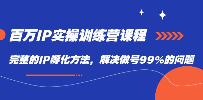 百万IP实战训练营课程，完整的IP孵化方法，解决做号99%的问题-黎明岛-互联网资源