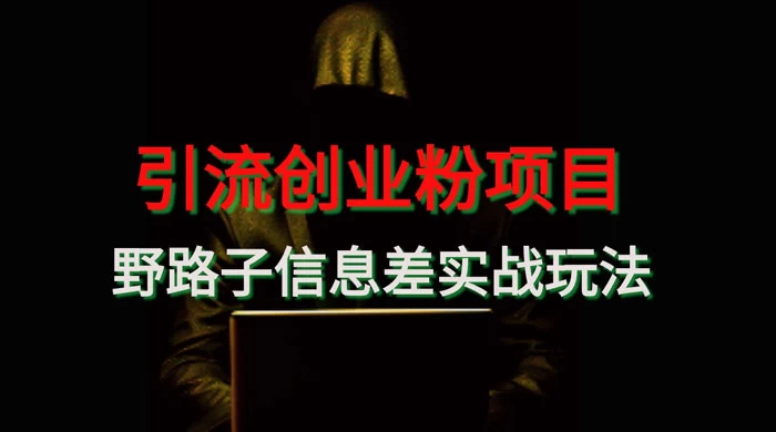 野路子信息差玩法实战教学，引流创业粉-黎明岛-互联网资源