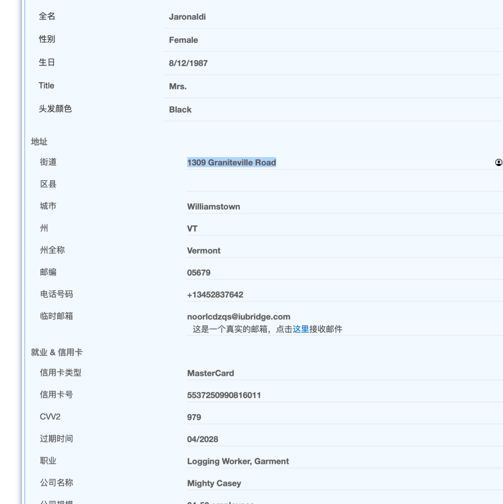 图片[8]-国内如何开通ChatGPT Plus会员服务-黎明岛-互联网资源