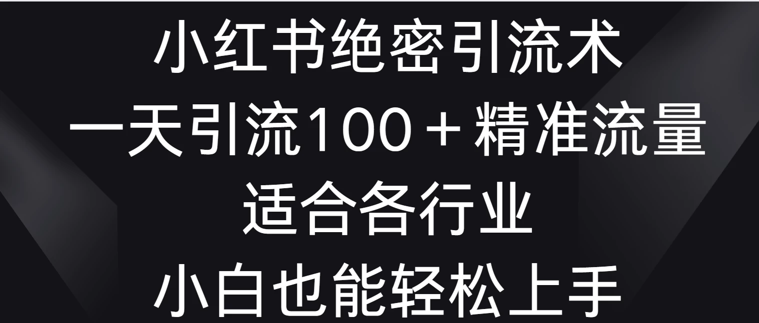 小红书绝密引流术，一天引流100＋精准流量，适合各个行业，小白也能轻松上手-黎明岛-互联网资源