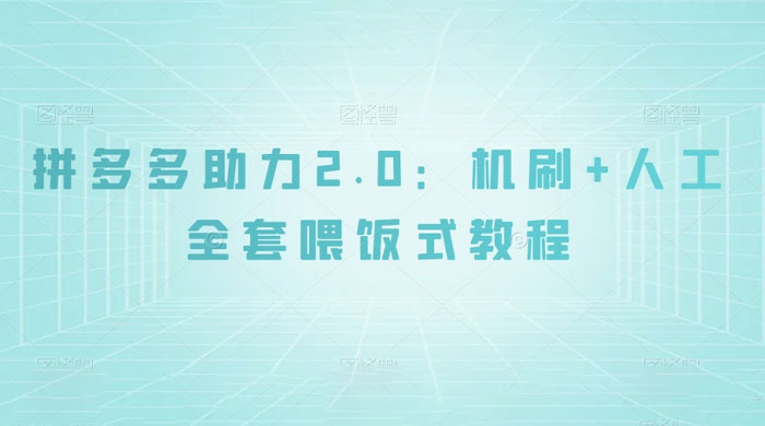 拼夕夕助力 2.0 新玩法：机刷+人工全套交付，喂饭式教程