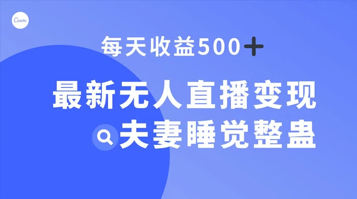 最新无人直播变现，夫妻睡觉整蛊，每天躺赚 500+-黎明岛-互联网资源
