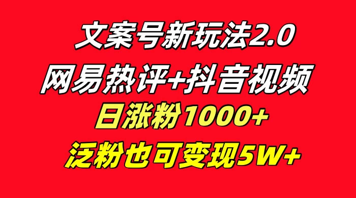 文案号新玩法，网易热评+抖音文案 一周轻松涨粉 5W+ 多种变现模式-黎明岛-互联网资源