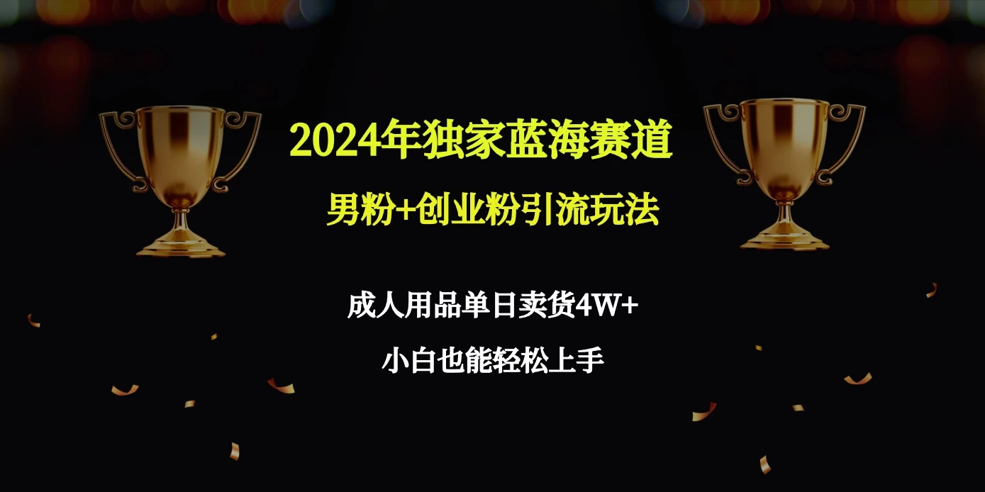 2024独家蓝海赛道，男粉＋创业粉引流玩法。-黎明岛-互联网资源