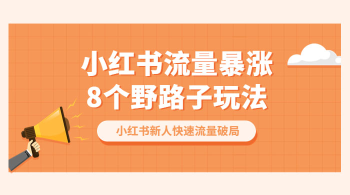 小红书流量暴涨 8 个野路子玩法：小红书新人快速流量破局（ 8 节课）