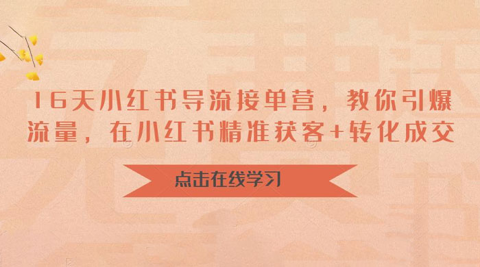 16 天小红书导流接单营：教你引爆流量，在小红书精准获客+转化成交-黎明岛-互联网资源