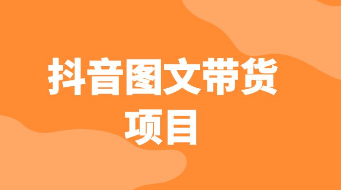 抖音图文带货项目：操作简单无门槛，适合小白-黎明岛-互联网资源