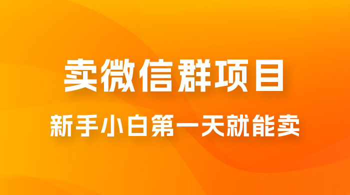 最新卖微信群项目玩法拆解：新手小白第一天就能卖，日入 300+-黎明岛-互联网资源