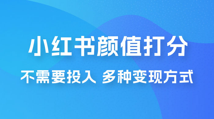 小红书颜值打分新玩法，不需要投入，适合所有人的一份副业，多种变现方式！-黎明岛-互联网资源