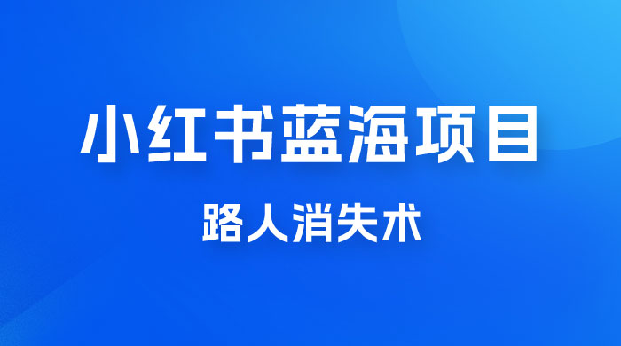 小红书蓝海项目，路人消失术，实测一天 300+