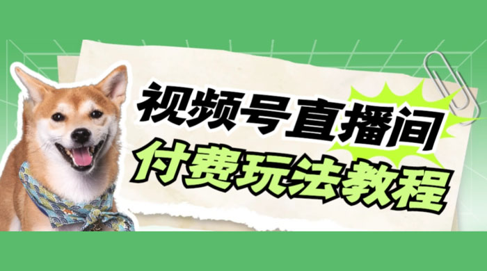 视频号美女付费无人直播，轻松日入500+（详细玩法教程）-黎明岛-互联网资源