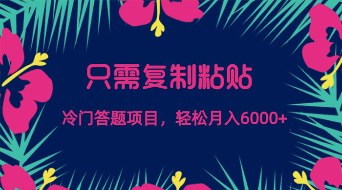 只需复制粘贴，冷门答题项目，轻松月入 6000-黎明岛-互联网资源