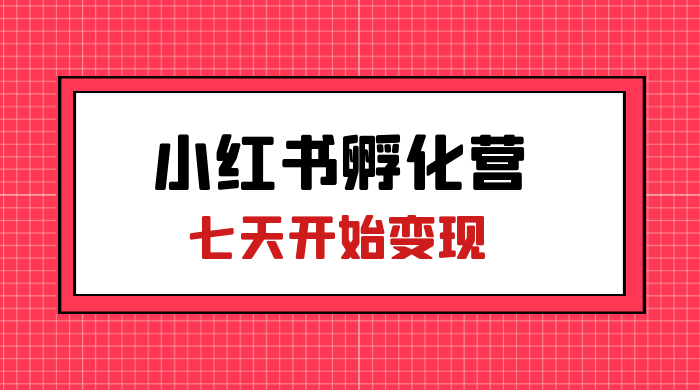 价值 2000+ 的小红书孵化营项目，超级大蓝海，七天即可开始变现，稳定月入 1W+