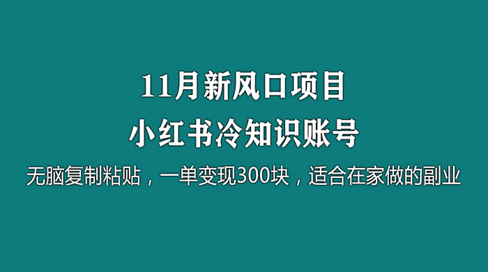 11 月新风口项目，小红书冷知识账号，无脑复制粘贴，一单变现 300 块，适合在家做的副业