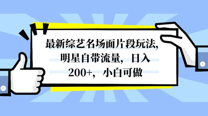 最新综艺名场面片段玩法，明星自带流量，日入200+，小白可做-黎明岛-互联网资源